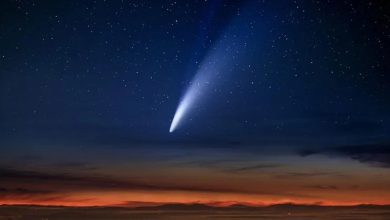 Photo of El Cometa del Siglo ya ilumina el cielo argentino: la mejor hora para verlo