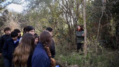 Photo of Escobar Sostenible: la Municipalidad abre un espacio para jóvenes comprometidos con el ambiente