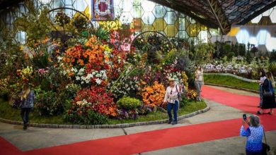 Photo of Finde en Escobar: la Fiesta Nacional de la Flor y los shows de Luck Ra y Turf son los eventos destacados