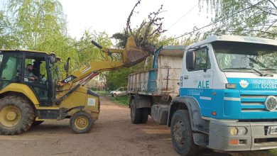 Photo of Cronograma del sistema municipal de recolección de ramas para esta semana