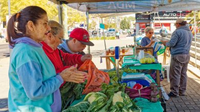 Photo of FRUTAS Y VERDURAS AGROECOLÓGICAS EN BERAZATEGUI