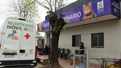 Photo of Más de sesenta perros que sufrían maltrato animal, fueron liberados tras un allanamiento en la ciudad de Tortuguitas