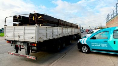 Photo of En Dock Sud, Transporte detectó 62 mil kilos de carga ilegal