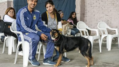 Photo of ZOONOSIS BROWN DESEMBARCA EN CLAYPOLE Y BURZACO CON OPERATIVOS DE CASTRACIÓN DESCENTRALIZADOS