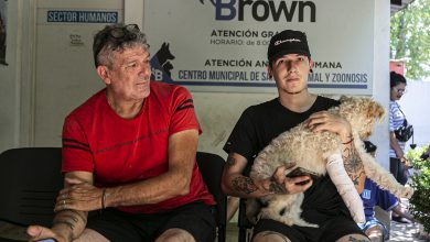 Photo of DURANTE CUATRO DÍAS ZOONOSIS REALIZA CASTRACIONES SIN TURNO PREVIO EN ALTE BROWN