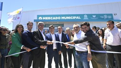 Photo of Kicillof inauguró un jardín de infantes y firmó un convenio para reactivar obras educativas paralizadas por el Gobierno nacional