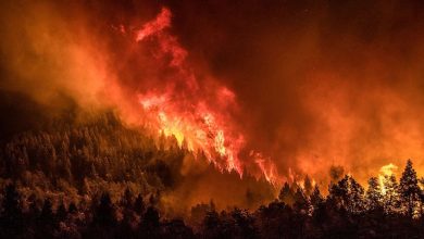 Photo of Incendio en el Parque Nahuel Huapi: se quemaron más de 1.800 hectáreas