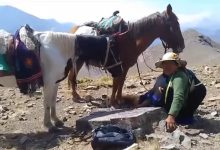 Photo of JUJUY: Funcionarios imputados por destruir un yacimiento arqueológico indígena