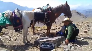 Photo of JUJUY: Funcionarios imputados por destruir un yacimiento arqueológico indígena