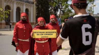 Photo of SALTA: Cierra el 2024 con la depredación del bosque nativo