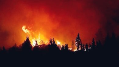 Photo of El fuego no para: se quemaron 7000 hectáreas del Parque Nahuel Huapi