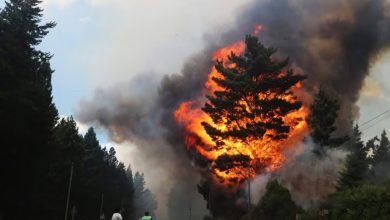 Photo of Chubut: confirman que el incendio en Epuyén “fue intencional”