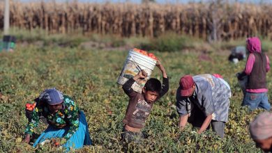Photo of Salta: Diez trabajadores víctimas de trata recibirán 15 millones de pesos