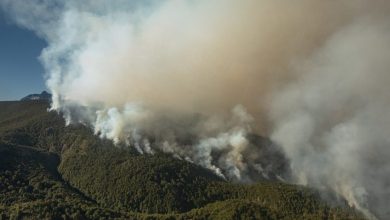 Photo of CONICET lidera estudios para el Manejo de Riesgos y Restauración Ambiental por incendios