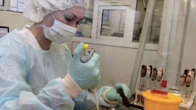 Photo of Milei redujo más del 60% la inversión para la ciencia argentina
