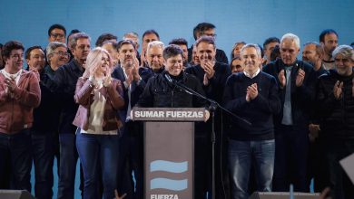Photo of Elecciones 2025 en Buenos Aires: Fuerza Patria se impuso con el 47,1% y consolida su mayoría legislativa