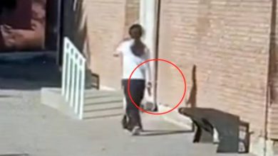 Photo of TENSIÓN EN MENDOZA: le sacaron el arma a la alumna de 14 años