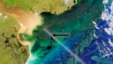 Photo of Experimento de la NASA: así “suena” la imagen satelital del Río de La Plata