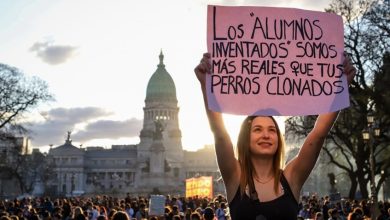 Photo of Contundente rechazo a los vetos de Milei: más del 90% de adhesión al paro