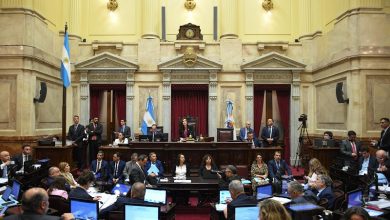 Photo of Senado: Rechazo al veto de Milei contra los Aportes del Tesoro Nacional