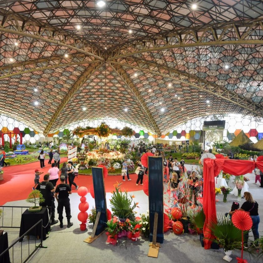 Sexagésimo segundo aniversario de la Fiesta Nacional de la Flor, destacada por ser considerada la exposición de floricultura más grande de Sudamérica. 