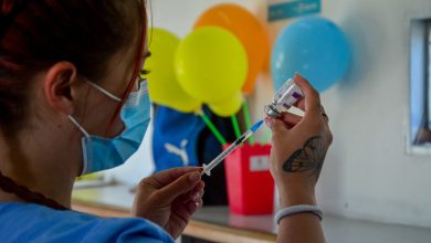 Photo of Kreplak advirtió sobre las consecuencias del retiro del Estado nacional en la prevención de la fiebre amarilla