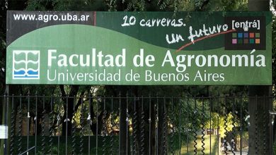 Photo of “Motivos salariales”: la Facultad de Agronomía de la UBA perdió cerca del 15% de su planta docente