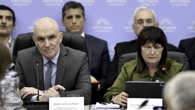 Photo of Patricia Bullrich afirmó que Espert respondió “con el corazón” sobre Machado