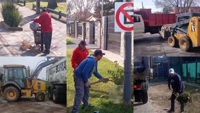 Photo of El Municipio sostiene los operativos de limpieza en los barrios de Berazategui