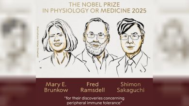Photo of Premio Nobel de Medicina 2025: ganaron por hallazgos en “tolerancia inmune periférica”