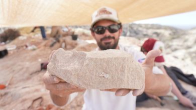 Photo of La Paleontología argentina brilla en el streaming