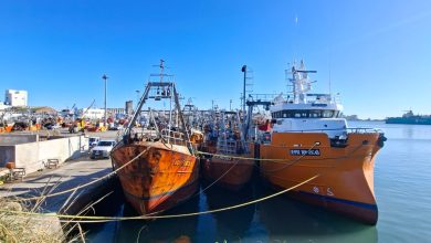 Photo of Conductores Navales: Exigen cumplimientos de seguridad para los navíos