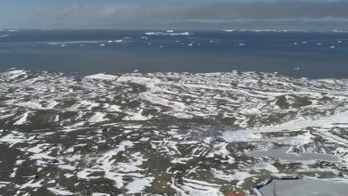 Photo of Aniversario de la fundación de la Base Marambio de la Antártida Argentina