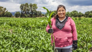 Photo of Día Mundial de la Mujer Rural: ONU traza objetivos con vistas a Beijing 2030
