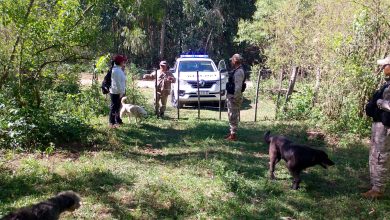 Photo of JUJUY:  COMUNIDAD INDÍGENA LAS CAPILLAS LOGRA FRENAR LA TALA DE BOSQUES NATIVOS