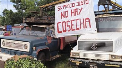 Photo of YERBATEROS CONTRAATACAN en rechazo a la DESREGULACIÓN de MILEI