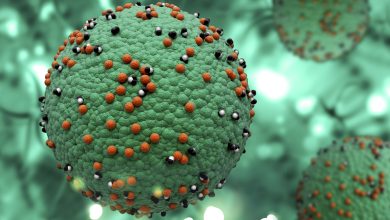 Photo of Organización Panamericana de la Salud: EL SARAMPIÓN ES ENDÉMICO EN EL CONTINENTE