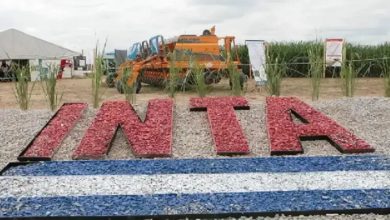Photo of MENOS TRABAJADORES: el PLAN del GOBIERNO para ACHICAR el INTA