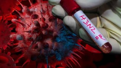 Photo of BROTE de GRIPE H3N2: KREPLAK resaltó que PBA cuenta con VACUNAS