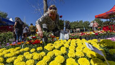 Photo of ALMIRANTE BROWN SE PREPARA PARA RECIBIR UNA NUEVA EDICIÓN DE LA «EXPO VIVERO»