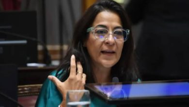 Photo of Jujuy: El PJ suspendió a Carolina Mosiés por su voto a favor de Milei en el Congreso