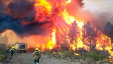 Photo of Investigan a funcionarios por el incendio en el Parque Nacional Los Alerces