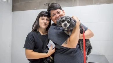 Photo of VETERINARIA MUNICIPAL: CASTRACIONES, VACUNACIÓN ANTIRRÁBICA Y DISTINTAS CIRUGÍAS Y ATENCIONES SIN COSTO PARA LAS Y LOS QUILMEÑOS