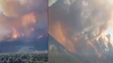 Photo of Incendios en Chubut: la quema de territorio atenta contra la vida en el lugar