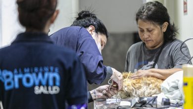 Photo of ESTE SÁBADO ZOONOSIS BROWN REALIZA UNA NUEVA CAMPAÑA DE VACUNACIÓN ANTIRRÁBICA