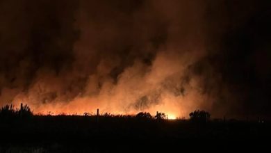 Photo of Un INCENDIO FORESTAL en MAR DEL PLATA arrasó con más de 200 HECTÁREAS