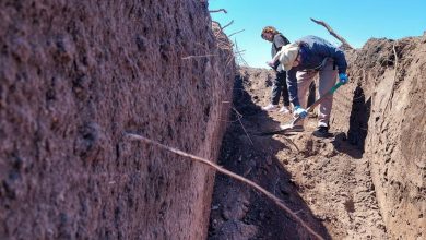 Photo of CÓRDOBA: Hallan restos óseos en la guarnición militar de La Calera