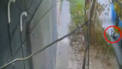 Photo of VIDEO: un NENE fue ARRASTRADO por un COLECTIVO