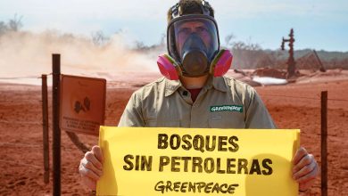 Photo of PROMESAS VACÍAS Y DESTRUCCIÓN DE LA NATURALEZA