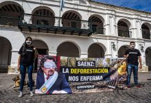 Photo of SALTA: EXIGEN RESTAURAR EL BOSQUE EN EL DESMONTE ILEGAL MÁS GRANDE DEL PAÍS